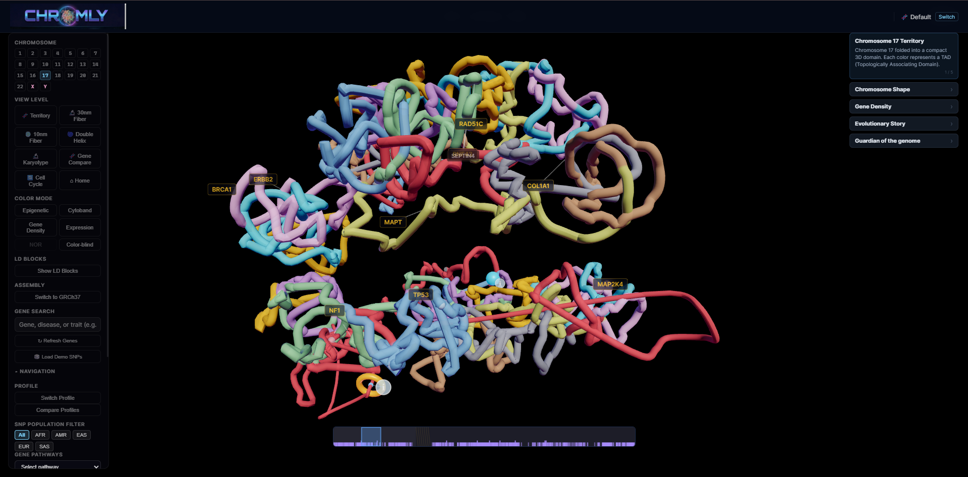 Chromly 3D genome explorer — chromosome view